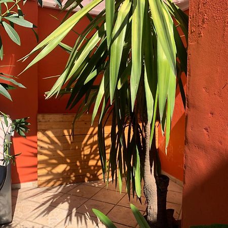 Villa Coyoacan Мексико Сити Екстериор снимка