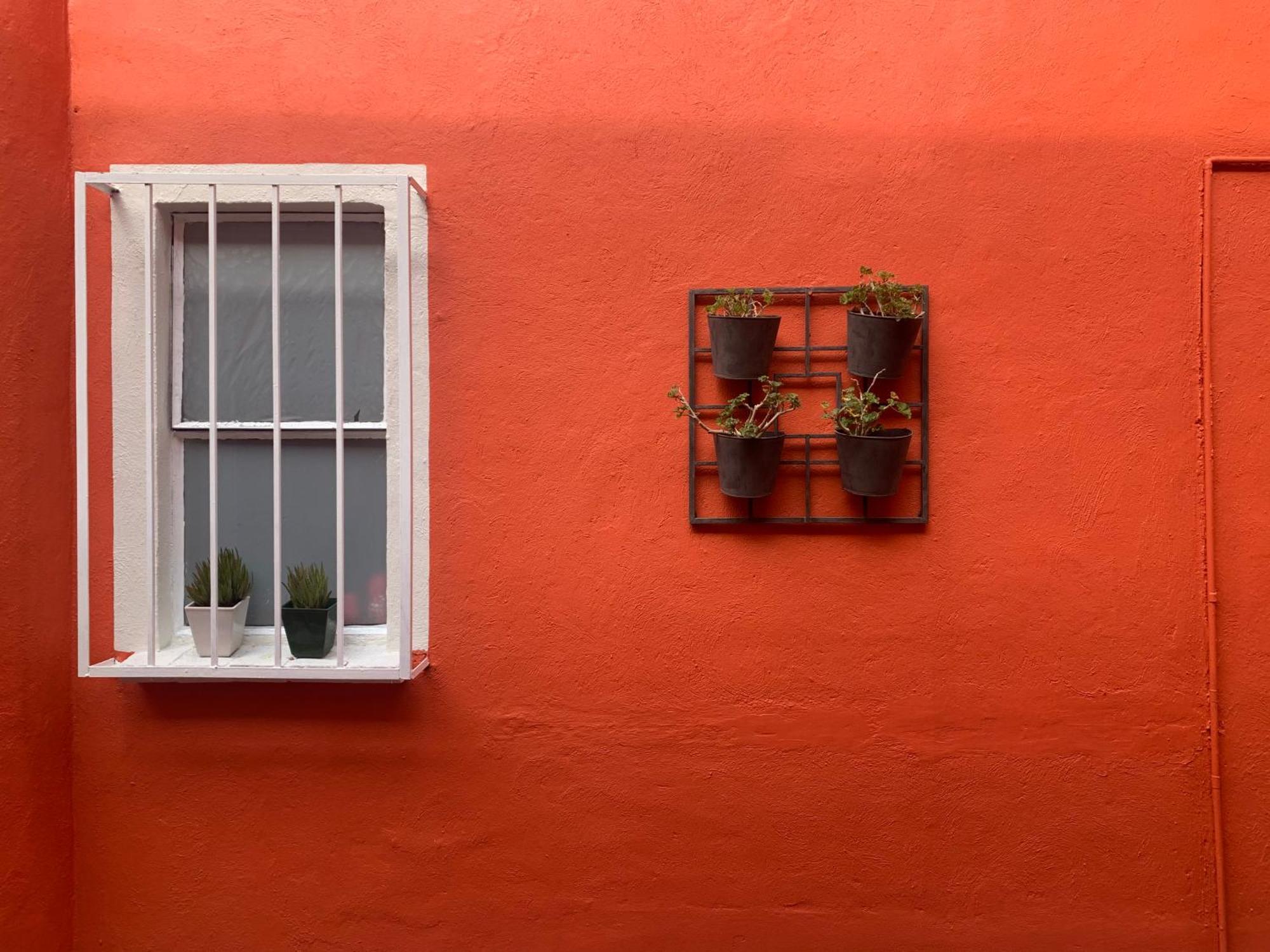 Villa Coyoacan Мексико Сити Екстериор снимка