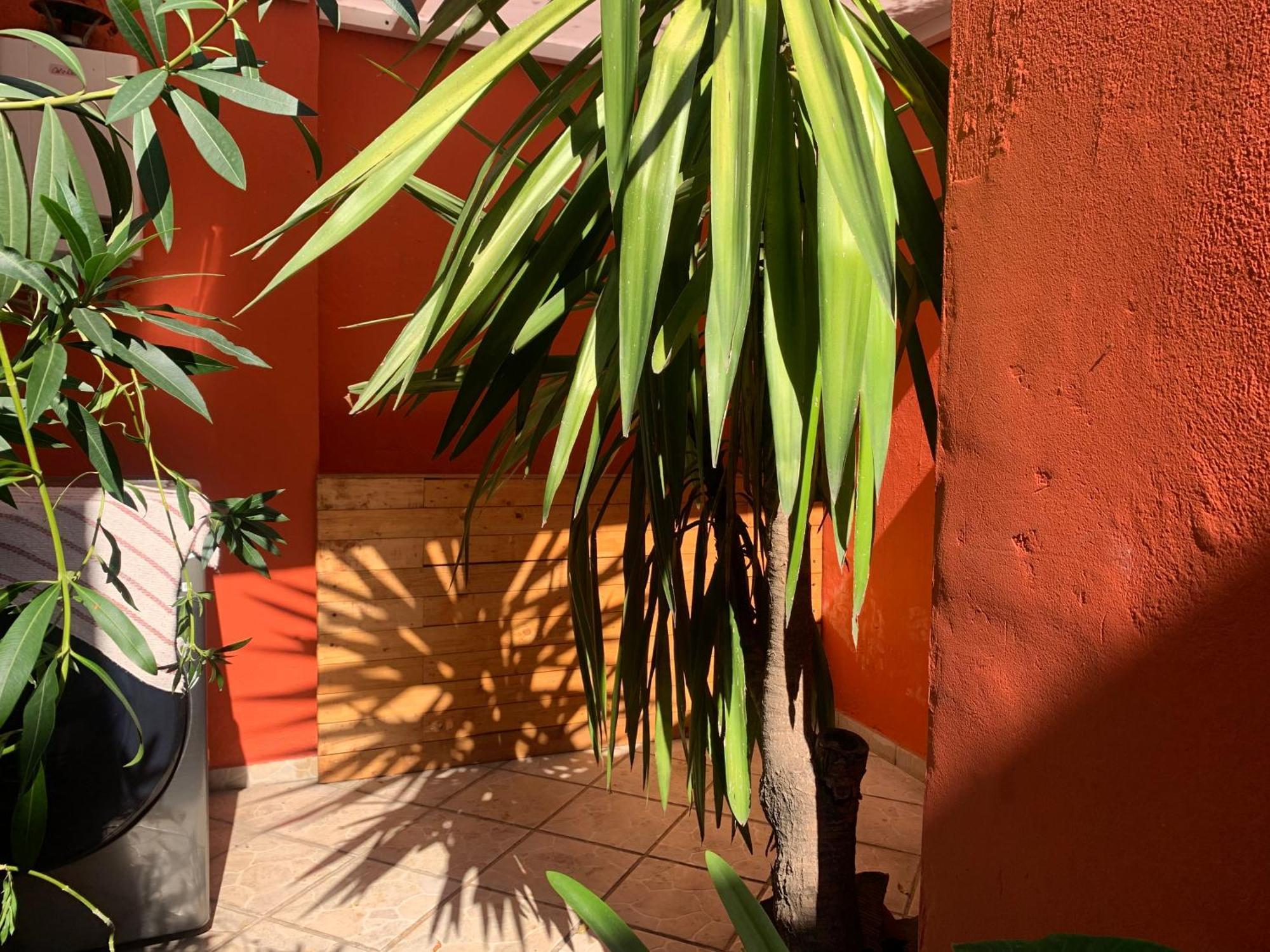 Villa Coyoacan Мексико Сити Екстериор снимка