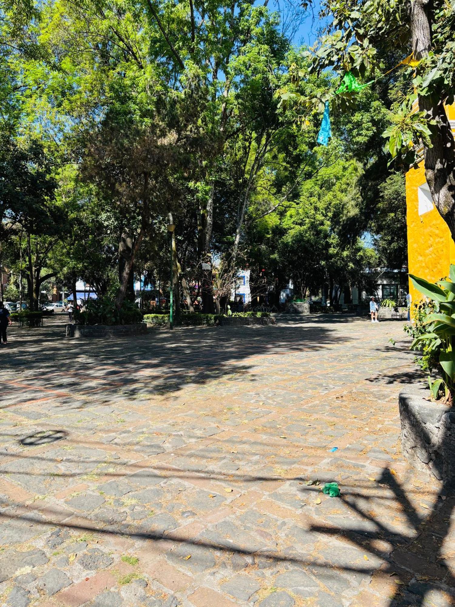 Villa Coyoacan Мексико Сити Екстериор снимка
